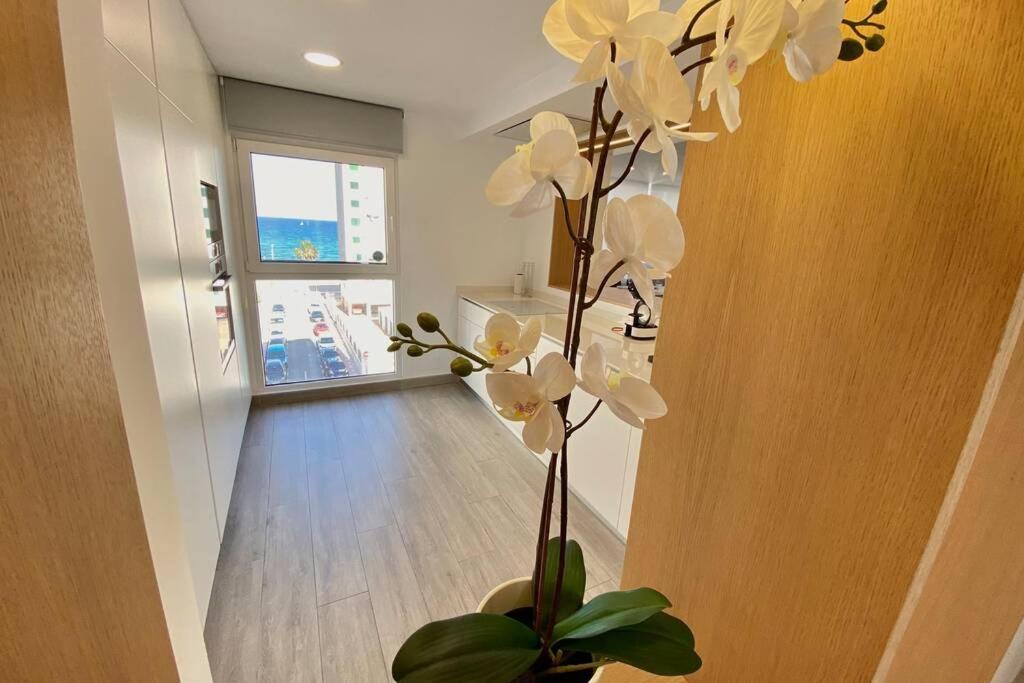 Central Modern Apartment 3 Bed 2 Bath El Campello Exterior foto
